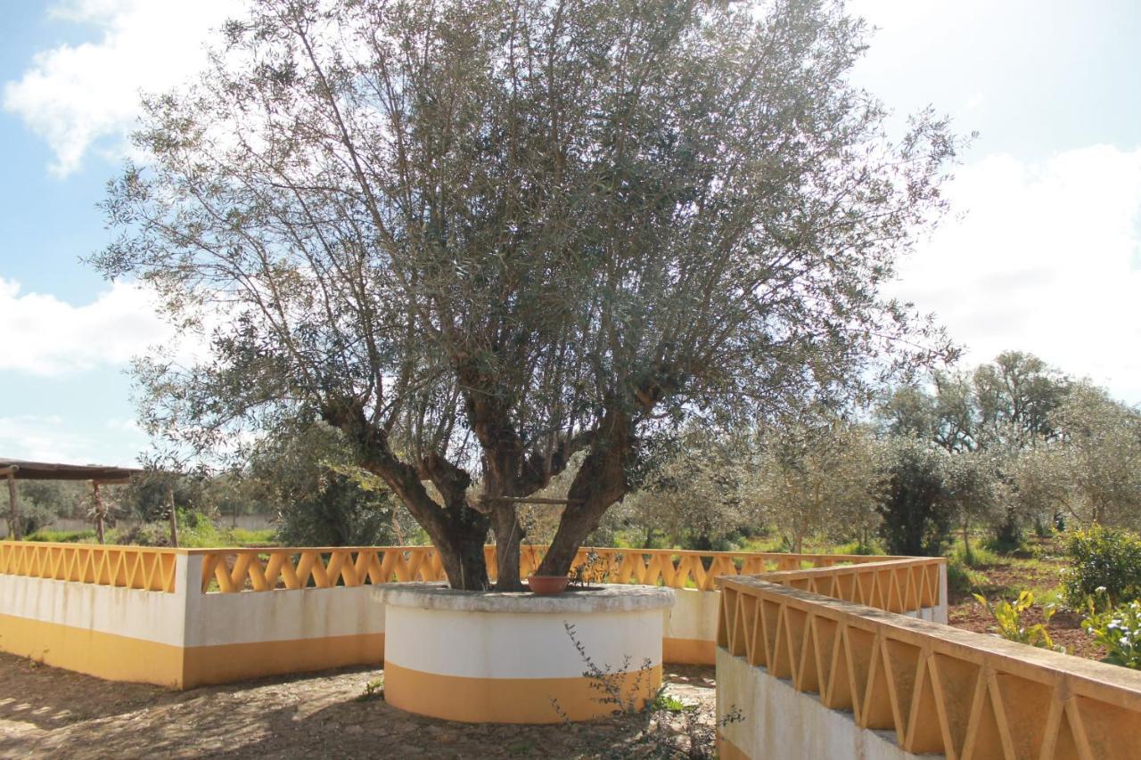 Montinho Do Palanque Βίλα Viana do Alentejo Εξωτερικό φωτογραφία