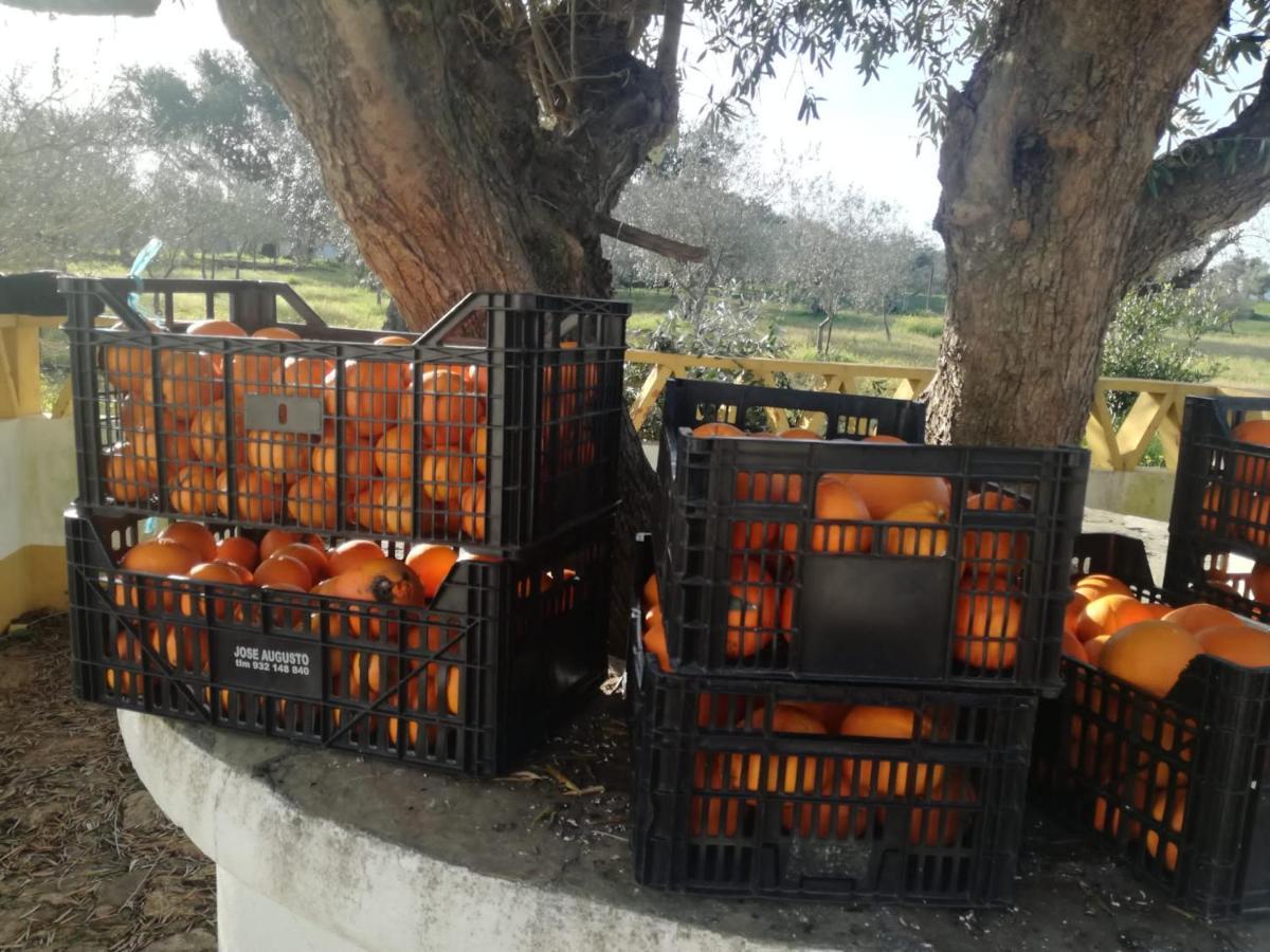 Montinho Do Palanque Βίλα Viana do Alentejo Εξωτερικό φωτογραφία