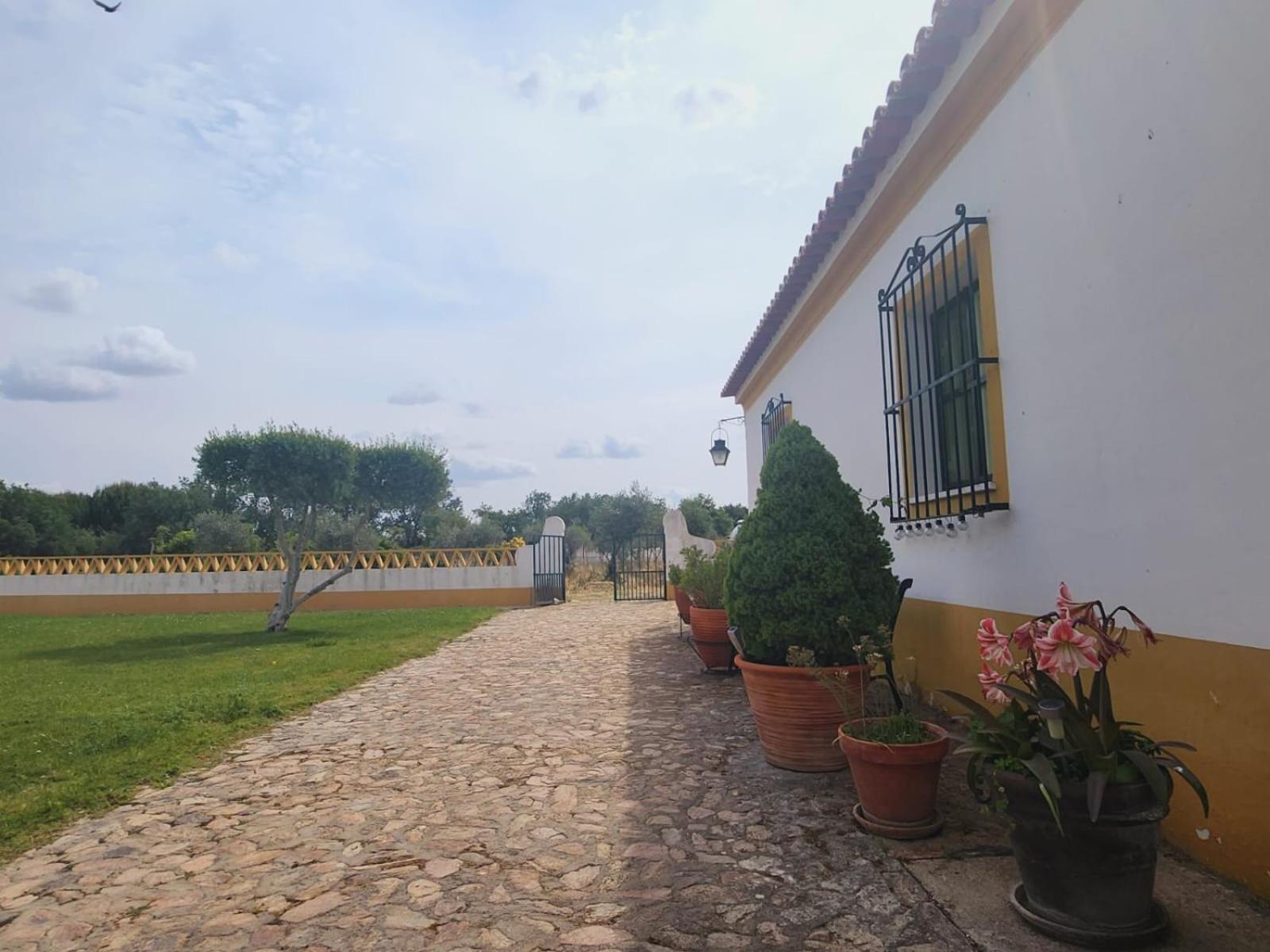 Montinho Do Palanque Βίλα Viana do Alentejo Εξωτερικό φωτογραφία