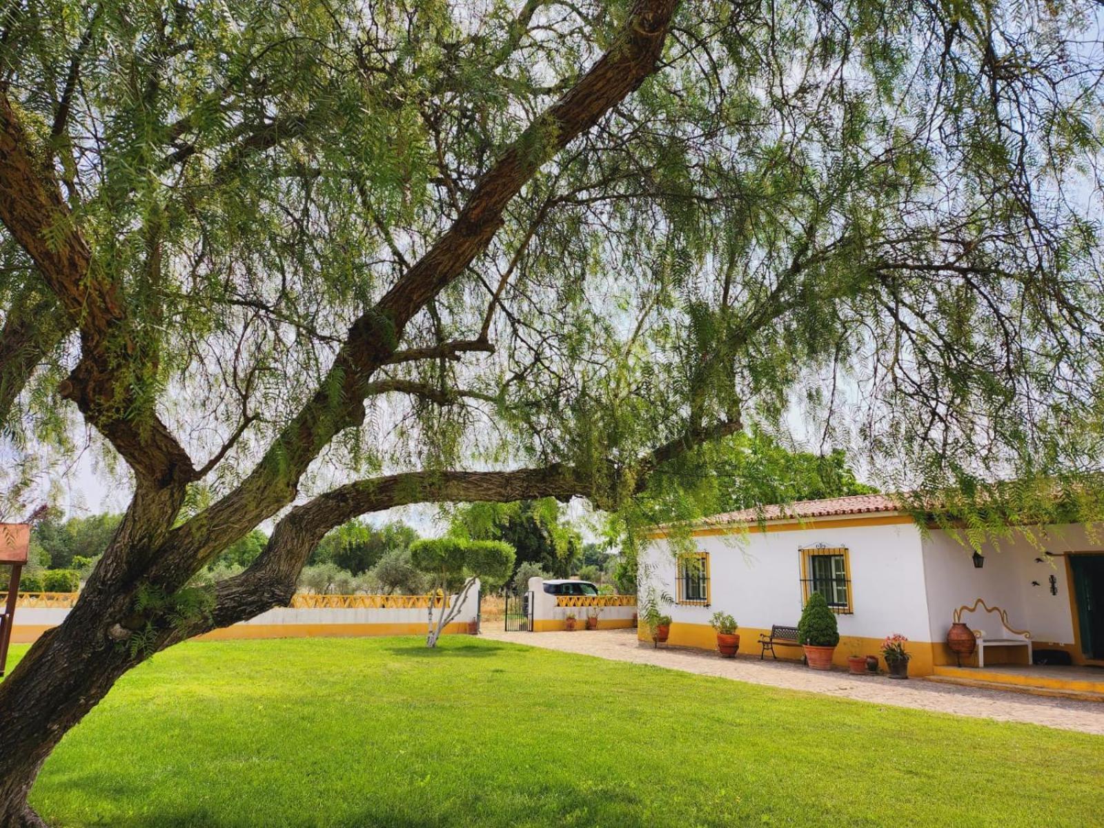 Montinho Do Palanque Βίλα Viana do Alentejo Εξωτερικό φωτογραφία