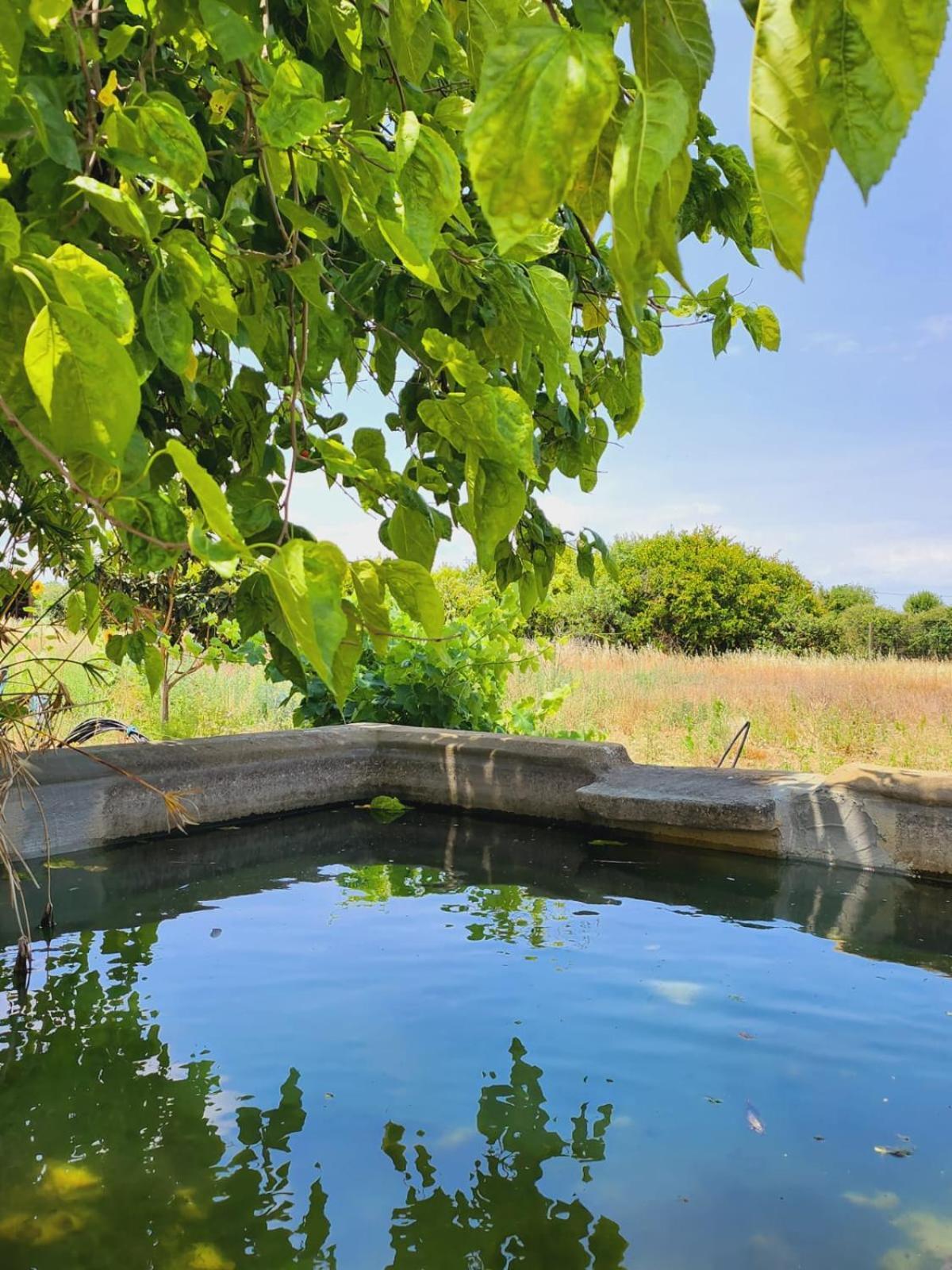 Montinho Do Palanque Βίλα Viana do Alentejo Εξωτερικό φωτογραφία